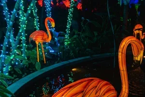 De 5 mooiste lichtfestivals & lichtroutes in België 💡