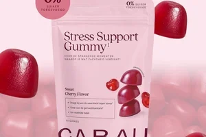 Say hello to your new daily support!