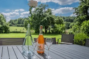 Rustieke zomerdagen in België en Duitsland 🌿