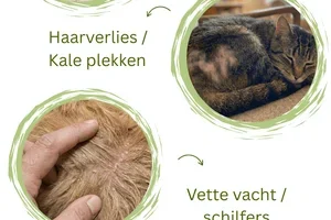 🔎 Ontdek onze kennisbank: begrijp sneller wat klachten écht betekenen.