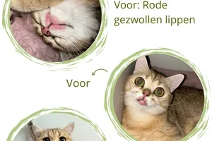 💚 Dankbaar kijken we terug op het afgelopen jaar