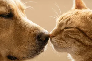 💚 Jij mag meebouwen aan ons concept