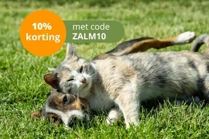 🚨 Laatste dag: 10% korting op Zalmolie Plus