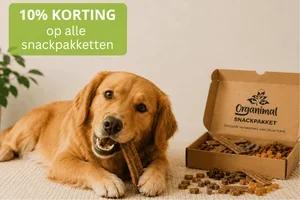 🐶 Jouw hond viert ook Internationale Kattendag!