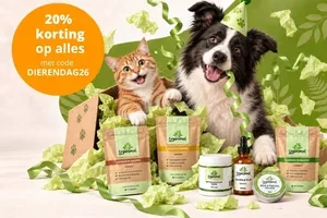 🎉 We gaan nog even door – 20% korting verlengd!