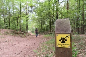 Dit maakt een wandeling met je hond nog leuker