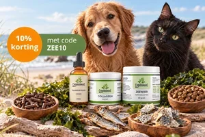 ⏰ Laatste dag: 10% korting op onze geselecteerde zeeproducten