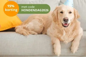 🐶 Vier Wereld Hondendag met ons mee