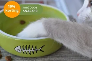 😻 Jouw kat viert Wereld Hondendag gewoon mee!