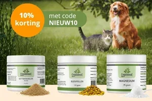 ⏰ Laatste kans: 10% korting op onze nieuwste supplementen