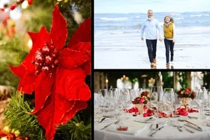 Boek nu: feestelijke eindejaarsarrangementen aan zee 🥂