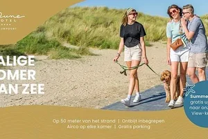 ☀️ Summer Days: uw uitzicht op de duinen cadeau deze zomer (Kopie)