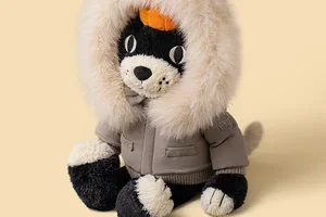 New faces are here for adventure!