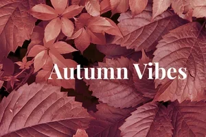 Autumn favourites, speciaal voor jou 🍁