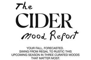 NEW: MOOD REPORT