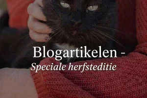 Blogartikelen | Speciale herfsteditie 🍁