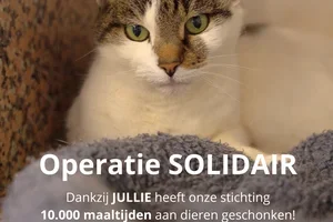 10.000 maaltijden geschonken aan het asiel Help Animals 💝