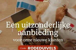 Vier het WK samen met je grootste fan 🐾