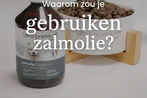 Zalmolie: wat zijn de voordelen voor je hond of kat? 🐶😺