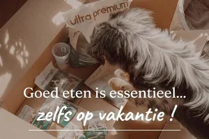Ontvang je brokken, zelfs op vakantie 🏖️
