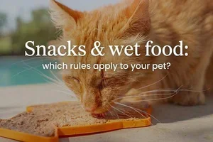 Natvoeding & snacks: welke regels gelden voor je huisdier? 🐾