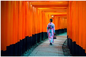 A Touch of Japan  |  September