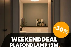 Weekenddeal: -30% op onze sfeervolle plafondlamp met elke lichtkleur!
