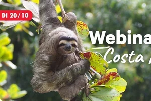 Gratis webinar Costa Rica op 20 oktober | Alle tips voor jouw droomreis
