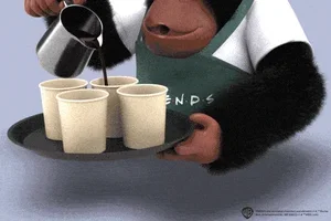 Binnenkort: Kipling x Friends
