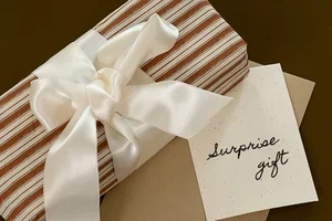 48H SURPRISE GIFT | CHRISTMAS COUNTDOWN