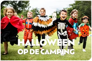 Vier dit jaar Halloween op de camping!