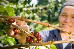 Week van de Fair Trade: koffie met een extraatje 🌱