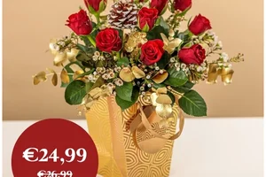 Vroege feestdagenvoordelen zijn er… 🎁✨