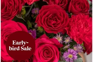 Laatste kans op onze early bird-glans ✨