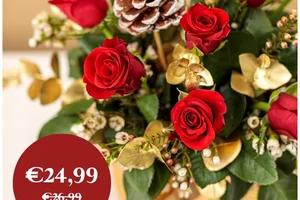 Laatste kans op onze vroege feestdagendeals 🎁✨