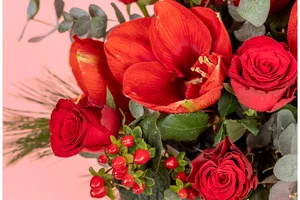 Kerstinspiratie begint hier 🎄✨