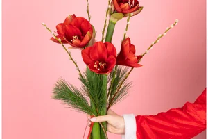 Kerstcadeaus onder €30? Graag! 🎁✨