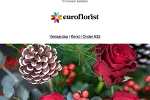 Gratis bezorging op last-minute cadeaus 🎄🎁