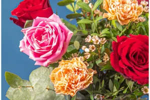 Zorg dat de eerste bloemen van 2026 van jou zijn!