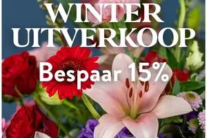 Versla de winterdip met 15% korting 🌼✨