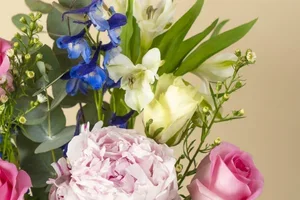 Zolang de pioenen er nog zijn… 🌸⏳