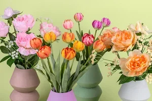 Bloemen die nooit opgeven 🌷✨