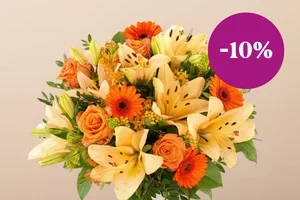 🍂 10% korting op de sterren van de herfst
