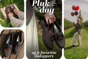 Pluk de dag op je favoriete instappers ☀️