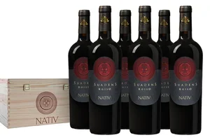 Pas op: deze Primitivo is gevaarlijk lekker
