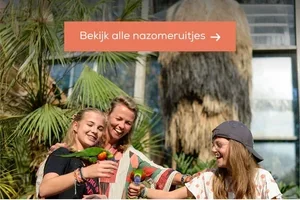 Er valt nog zoveel te beleven deze nazomer