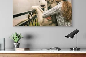 Laatste 24 uur ⏳ Wanddecoratie vanaf € 3,60 – wees er snel bij!