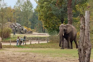 Herfst actie: tickets met 8,- korting
