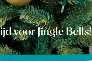 Welk kerstlied past bij jou?