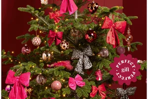 Kersttrends voor iedereen, ontdek het nu🎄